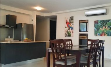 Alquiler de apartamento en Panamá Pacífico, Ph River Valley