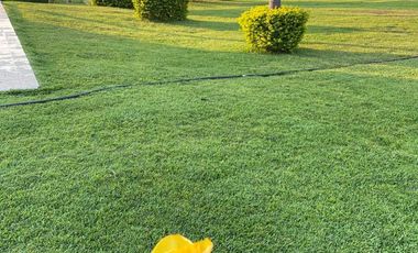 Renta de casa Vacacional Cocoyoc Morelos