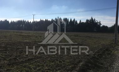 Sitio en Venta en Sector Los Tilos