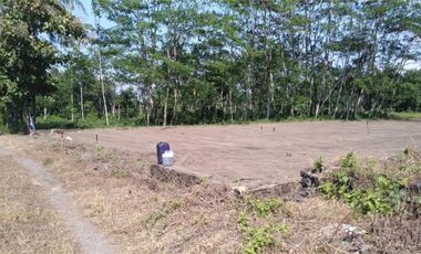 Tanah 90 Jt-an Sedayu Jogja, Mumpung Promo