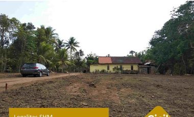 Tanah 90 Jt-an Sedayu Jogja, Mumpung Promo