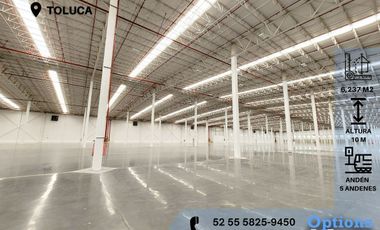 Industrial warehouse for rent in Toluca