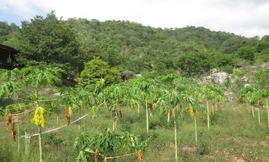 TERRENO DE 5 HTS VÍA ALTERNA SECTOR BURECHE SANTA MARTA.