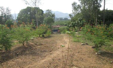TERRENO DE 5 HTS VÍA ALTERNA SECTOR BURECHE SANTA MARTA.