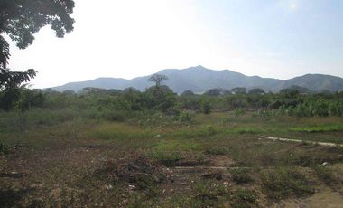 TERRENO DE 5 HTS VÍA ALTERNA SECTOR BURECHE SANTA MARTA.