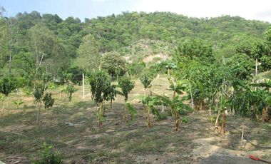 TERRENO DE 5 HTS VÍA ALTERNA SECTOR BURECHE SANTA MARTA.