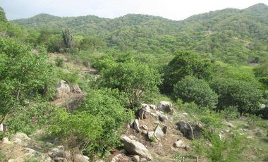 TERRENO DE 5 HTS VÍA ALTERNA SECTOR BURECHE SANTA MARTA.