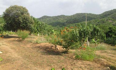 TERRENO DE 5 HTS VÍA ALTERNA SECTOR BURECHE SANTA MARTA.