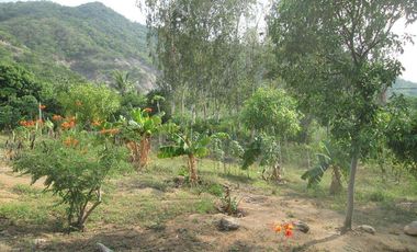 TERRENO DE 5 HTS VÍA ALTERNA SECTOR BURECHE SANTA MARTA.