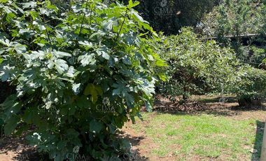 Venta casa fraccionamiento Monte Bello Huitzilac- V296
