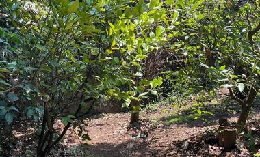 Venta casa fraccionamiento Monte Bello Huitzilac- V296