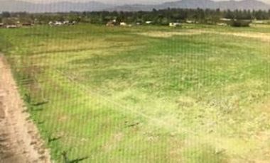 Terreno Construccion  en Venta en María Pinto