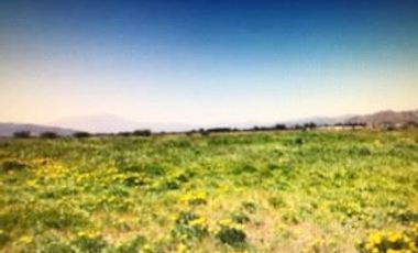 Terreno Construccion  en Venta en María Pinto