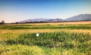 Terreno Construccion  en Venta en María Pinto