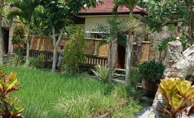 FOR SALE VILLA IN UBUD WITH 4 ROOMS AND RICE FIELD VIEW