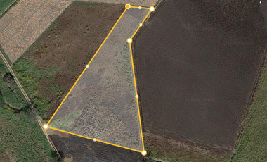 Vendo terreno agricola de riego de 7,150 m2 , en Alpuyeca Morelos