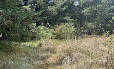 LOTE EN FRACCIONAMIENTO JAJALPA