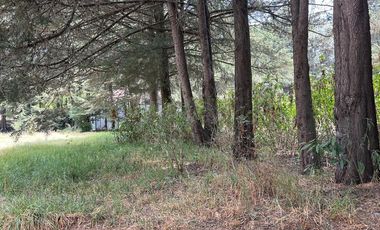 LOTE EN FRACCIONAMIENTO JAJALPA