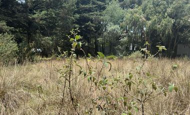LOTE EN FRACCIONAMIENTO JAJALPA