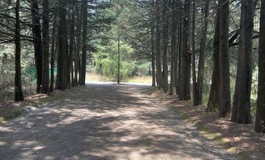 LOTE EN FRACCIONAMIENTO JAJALPA