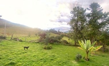 casa campestre en venta en vereda san jose. Cod V5115