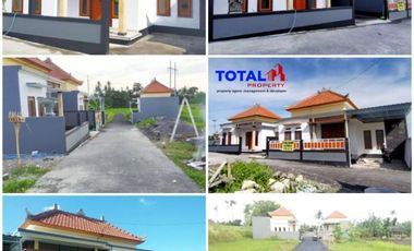 Dijual tanah kavling harga murah meriah di Pering, Blahbatuh, Gianyar, Bali