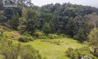 OPORTUNIDAD!!! HERMOSO TERRENO A 13 MINUTOS DE MINERAL DEL CHICO, MUY CERCA DEL ARROYO $900 el M2 BOSQUE Y VALLE