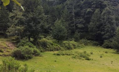 OPORTUNIDAD!!! HERMOSO TERRENO A 13 MINUTOS DE MINERAL DEL CHICO, MUY CERCA DEL ARROYO $900 el M2 BOSQUE Y VALLE