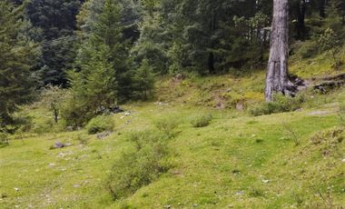 OPORTUNIDAD!!! HERMOSO TERRENO A 13 MINUTOS DE MINERAL DEL CHICO, MUY CERCA DEL ARROYO $900 el M2 BOSQUE Y VALLE