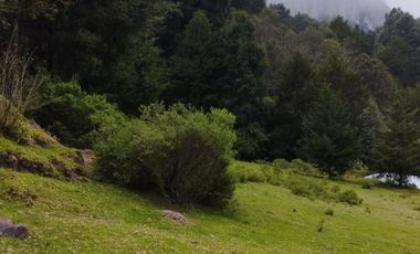 OPORTUNIDAD!!! HERMOSO TERRENO A 13 MINUTOS DE MINERAL DEL CHICO, MUY CERCA DEL ARROYO $900 el M2 BOSQUE Y VALLE