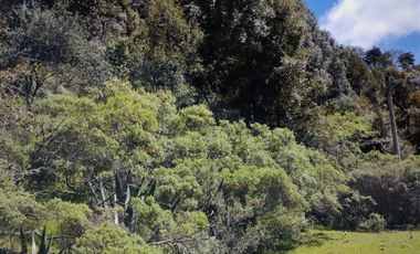 OPORTUNIDAD!!! HERMOSO TERRENO A 13 MINUTOS DE MINERAL DEL CHICO, MUY CERCA DEL ARROYO $900 el M2 BOSQUE Y VALLE