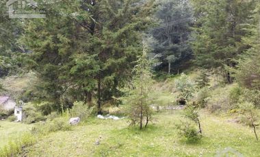 OPORTUNIDAD!!! HERMOSO TERRENO A 13 MINUTOS DE MINERAL DEL CHICO, MUY CERCA DEL ARROYO $900 el M2 BOSQUE Y VALLE