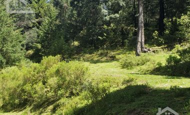 OPORTUNIDAD!!! HERMOSO TERRENO A 13 MINUTOS DE MINERAL DEL CHICO, MUY CERCA DEL ARROYO $900 el M2 BOSQUE Y VALLE