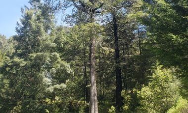 OPORTUNIDAD!!! HERMOSO TERRENO A 13 MINUTOS DE MINERAL DEL CHICO, MUY CERCA DEL ARROYO $900 el M2 BOSQUE Y VALLE