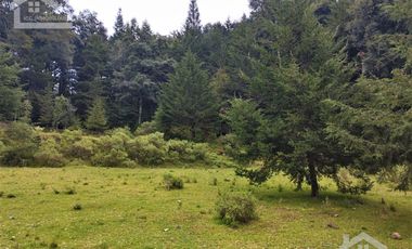 OPORTUNIDAD!!! HERMOSO TERRENO A 13 MINUTOS DE MINERAL DEL CHICO, MUY CERCA DEL ARROYO $900 el M2 BOSQUE Y VALLE