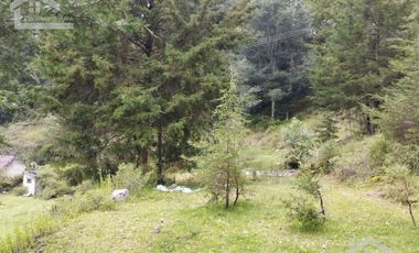 OPORTUNIDAD!!! HERMOSO TERRENO A 13 MINUTOS DE MINERAL DEL CHICO, MUY CERCA DEL ARROYO $900 el M2 BOSQUE Y VALLE