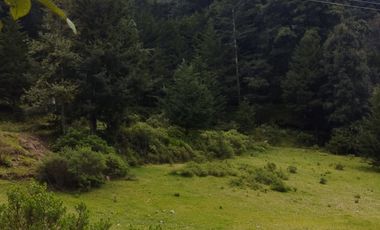 OPORTUNIDAD!!! HERMOSO TERRENO A 13 MINUTOS DE MINERAL DEL CHICO, MUY CERCA DEL ARROYO $900 el M2 BOSQUE Y VALLE