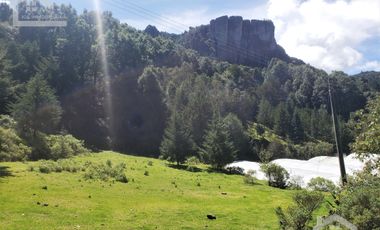 OPORTUNIDAD!!! HERMOSO TERRENO A 13 MINUTOS DE MINERAL DEL CHICO, MUY CERCA DEL ARROYO $900 el M2 BOSQUE Y VALLE