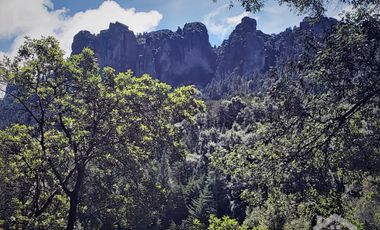 OPORTUNIDAD!!! HERMOSO TERRENO A 13 MINUTOS DE MINERAL DEL CHICO, MUY CERCA DEL ARROYO $900 el M2 BOSQUE Y VALLE