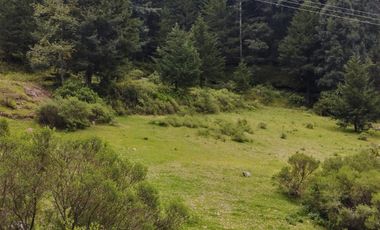 OPORTUNIDAD!!! HERMOSO TERRENO A 13 MINUTOS DE MINERAL DEL CHICO, MUY CERCA DEL ARROYO $900 el M2 BOSQUE Y VALLE