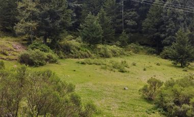 OPORTUNIDAD!!! HERMOSO TERRENO A 13 MINUTOS DE MINERAL DEL CHICO, MUY CERCA DEL ARROYO $900 el M2 BOSQUE Y VALLE