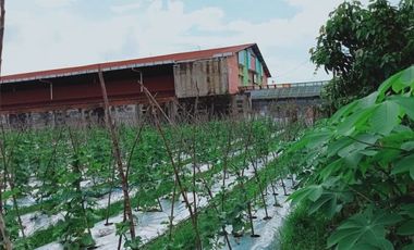 di jual tanah lokasi di tengah kota dekat kampus uir