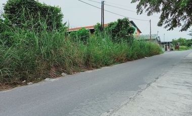 di jual tanah lokasi di tengah kota dekat kampus uir