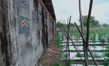 di jual tanah lokasi di tengah kota dekat kampus uir