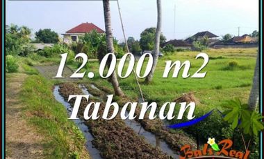 12,000 m2 with RICE FIELDS VIEW, CLOSE TO THE BEACH in KERAMBITAN TABANAN