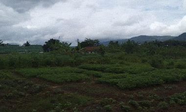 Tanah Murah Bogor, Cocok Untuk Dibangun Perumahan