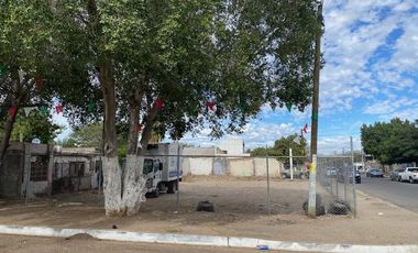 Terreno en renta en Colonia Palo Verde de Hermosillo, Sonora