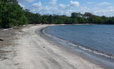 Finca en venta en Colón (ID 11889)