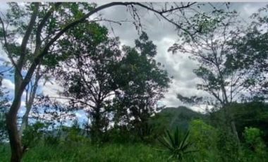 finca en venta en la vega. Cod V4733