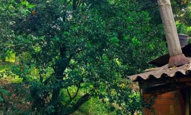 finca en venta en la vega. Cod V4733